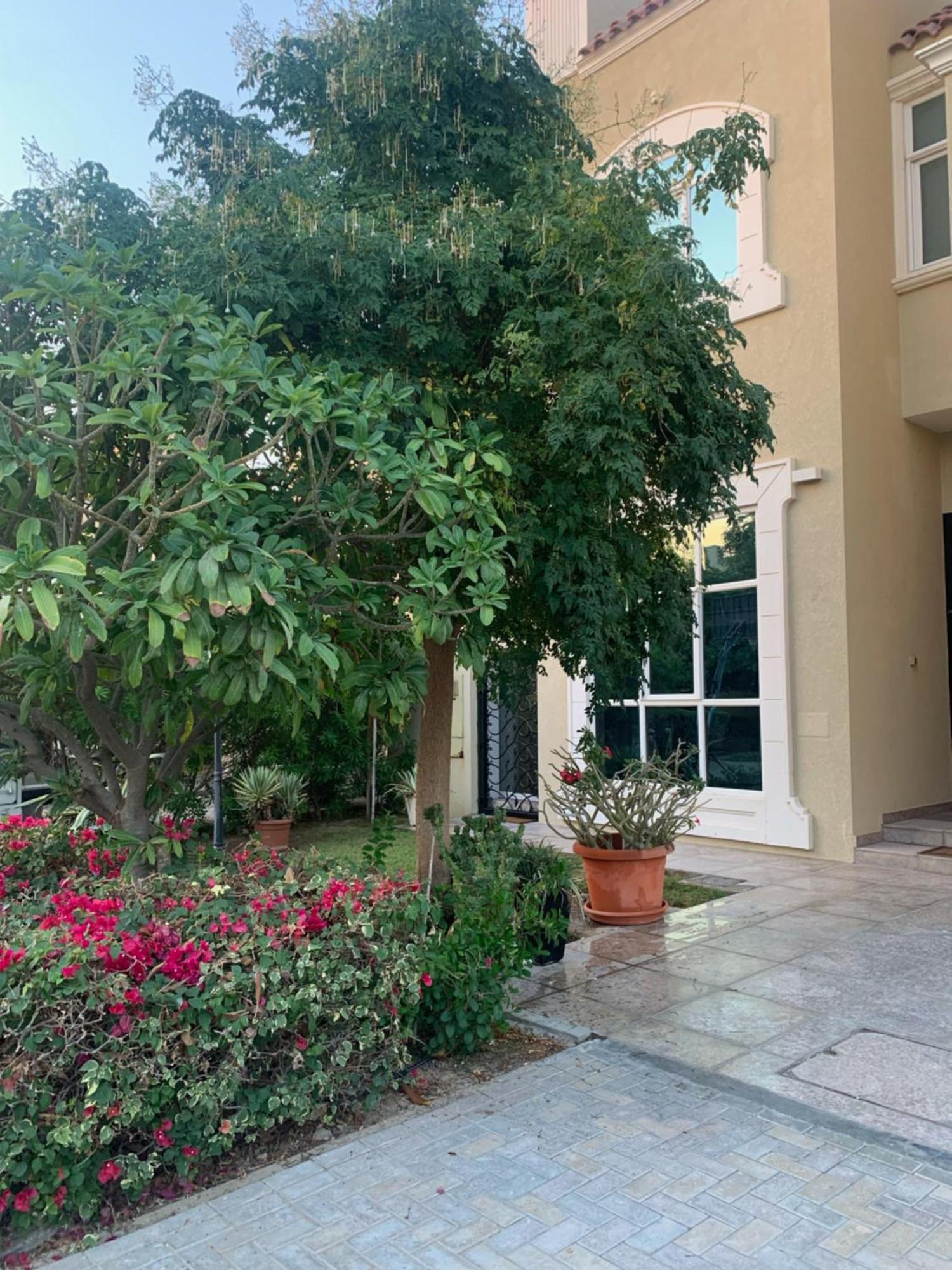 Silent Cozy And Fully Furnished Apartment *